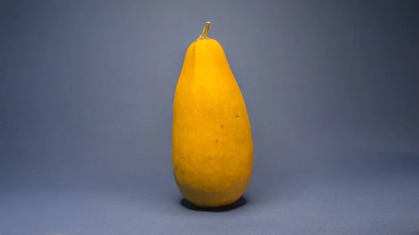 Mavi arkaplanda sarı kabak