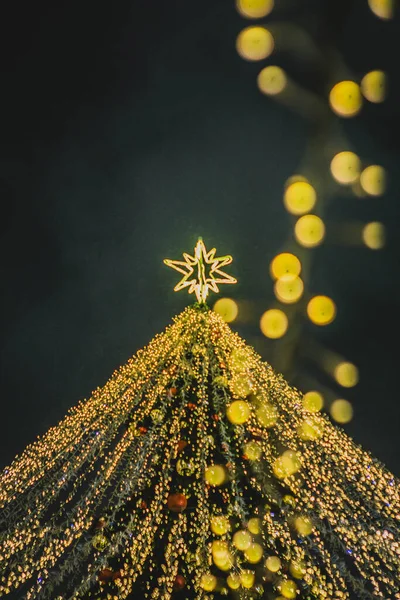 Kremlin 'in arka planında Noel ağacı yanıyor, çelenkler yanıyor, geceleri fotoğraf çekiliyor.