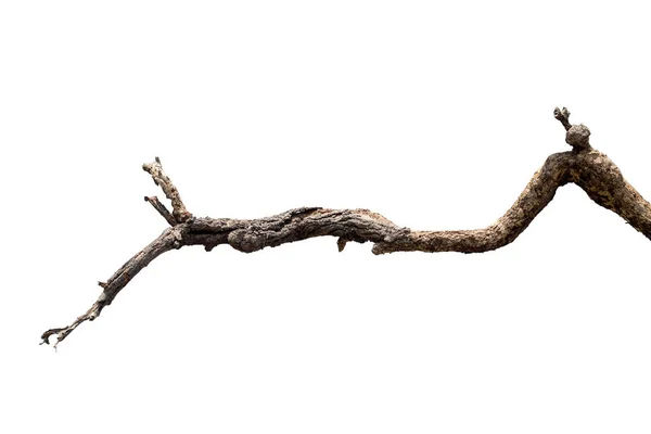 Suché Větve Suché Větve Izolované Bílém Pozadí — Stock fotografie