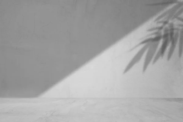 Concept of leaf shadow and light on gray cement surface. Cement room