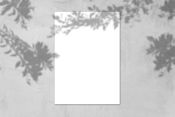Empty White Horizontal Rectangular Poster Mockup Light Shadow Gray Concrete — Stock Photo, Image