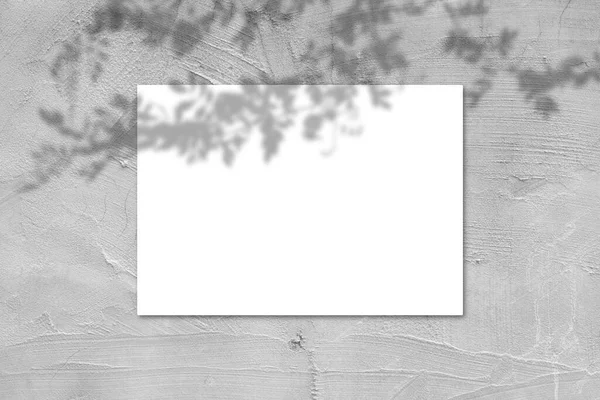 Empty White Horizontal Rectangular Poster Mockup Light Shadow Gray Concrete — Foto de Stock