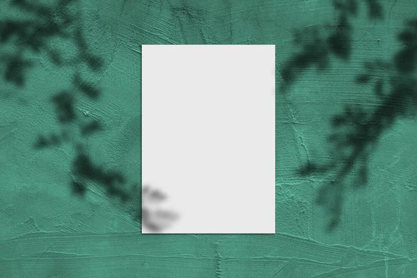Blank White Vertical Rectangular Poster Mockup Light Shadow Green Concrete — Foto de Stock