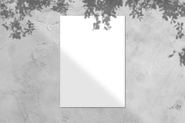 Blank White Square Poster Mockup Light Shadow Gray Concrete Wall — Stock Photo, Image