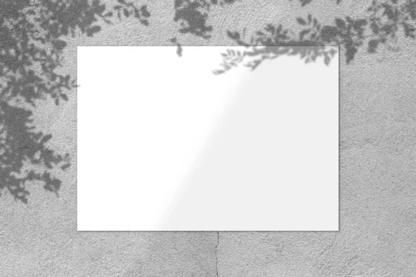 Blank White Square Poster Mockup Light Shadow Gray Concrete Wall — Photo