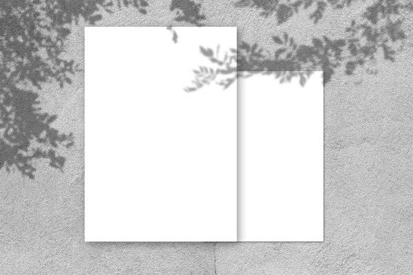 Порожній Білий Плакат Макет Світлою Тінь Сірому Бетонному Фоні Стіни — стокове фото