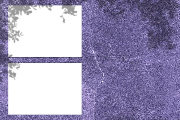 Blank White Square Poster Mockup Light Shadow Purple Concrete Wall — Foto de Stock
