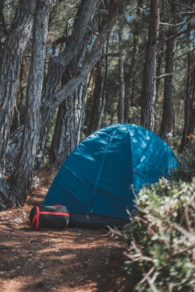 Ormanda kamp yapmak.