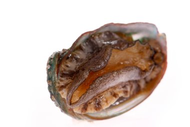 Beyaz bir zemin üzerinde istiridye kabuklu deniz ürünleri, lezzetli