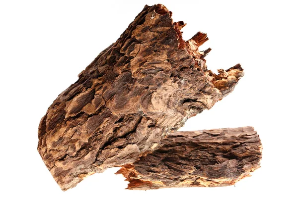 Beyaz arka planda çam kabuğu