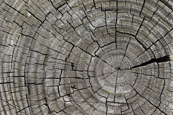 Стара Дошка Фон Текстура Старого Дерева — стокове фото