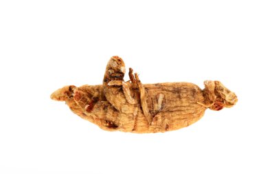 Ginseng beyaz arka planda
