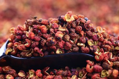 Beyaz arka planda Çin dikenli külleri