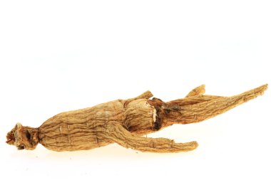 Ginseng beyaz arka planda