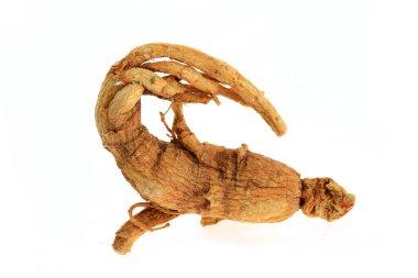 Ginseng beyaz arka planda