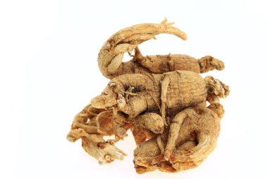 Ginseng beyaz arka planda