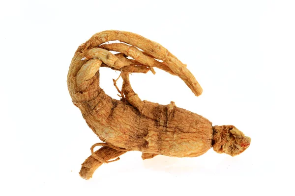 Ginseng Een Witte Achtergrond — Stockfoto