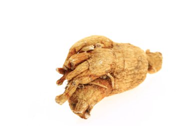 Ginseng beyaz arka planda