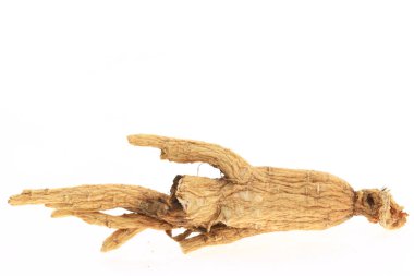 Ginseng beyaz arka planda