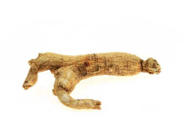 Ginseng beyaz arka planda