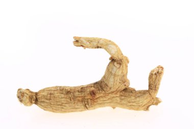 Ginseng beyaz arka planda