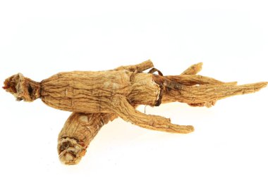 Ginseng beyaz arka planda