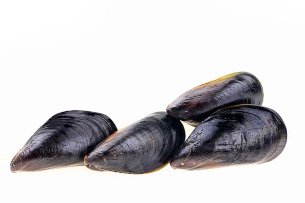 Mussels White Background — Stock Photo, Image