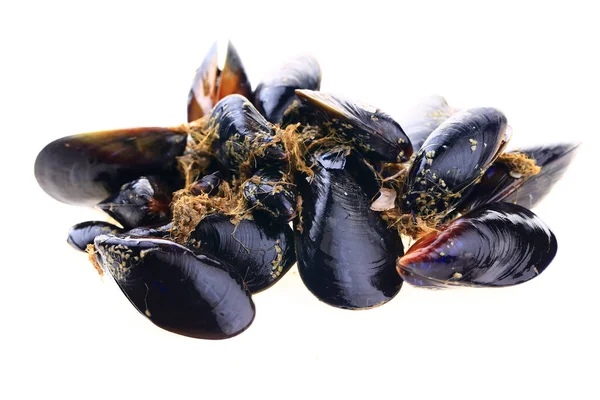 Mussels White Background — Stock Photo, Image