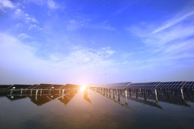 Suyun üzerindeki güneş panelleri