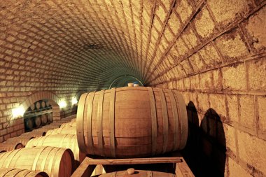 Tahta Varilli Şarap Mahzeni