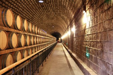 Tahta Varilli Şarap Mahzeni