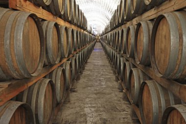 Tahta Varilli Şarap Mahzeni