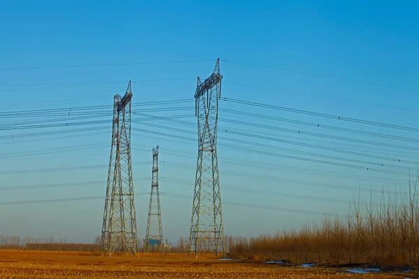 Yüksek Voltajlı Elektrik Kulesi Hattı — Stok fotoğraf