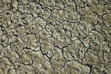İklim ısınması kurumuş topraklar 
