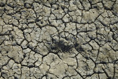 İklim ısınması kurumuş topraklar 