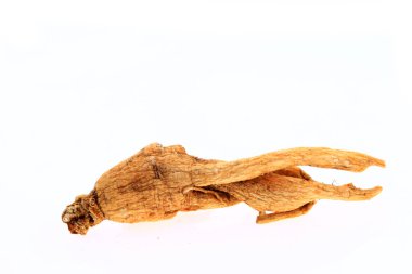 Ginseng beyaz arka planda