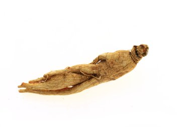 Ginseng beyaz arka planda
