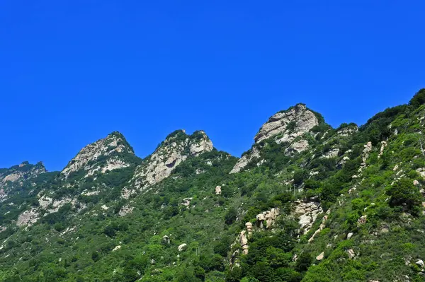 Zomer Berg Bos Landschap — Stockfoto