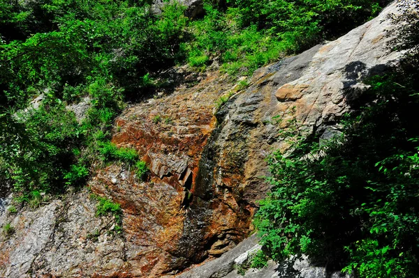 Verão Paisagem Floresta Montanha — Fotografia de Stock