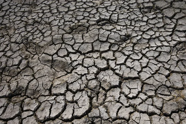 Calentamiento Climático Tierra Seca Agrietada — Foto de Stock