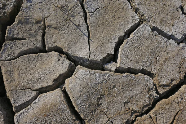 Climate Warming Dry Chapped Land — Stock Photo, Image