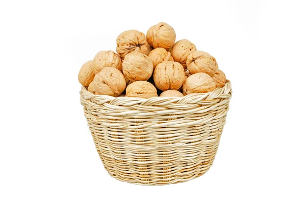 White Background Walnut — Stock Photo, Image