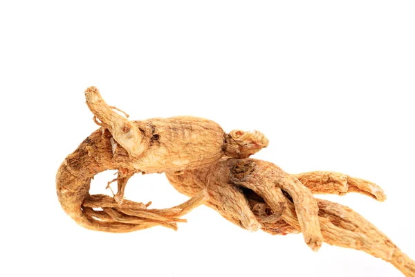 Ginseng Een Witte Achtergrond — Stockfoto