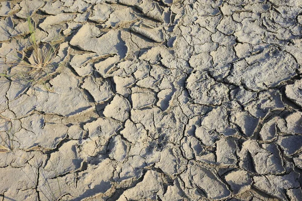 気候温暖化乾燥した土地を切り取った — ストック写真