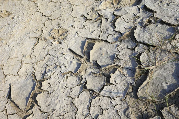 Calentamiento Climático Tierra Seca Agrietada — Foto de Stock