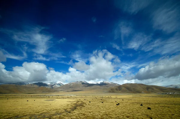 Mavi Gökyüzü Beyaz Bulutlar Çayır Karlı Dağ Manzarası — Stok fotoğraf