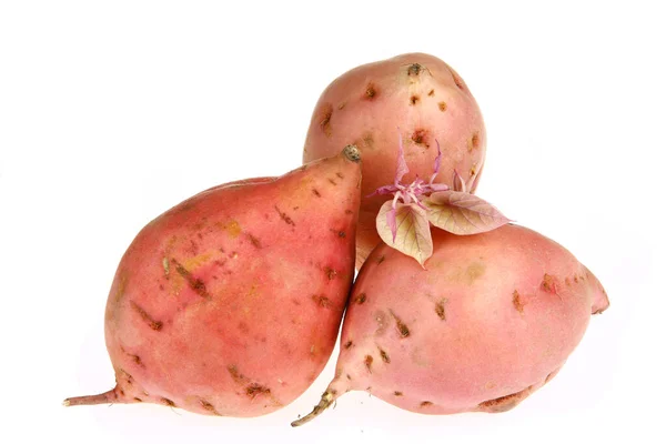 Ripe Sweet Potatoes White Background — Stock Photo, Image