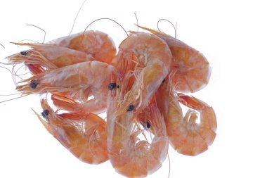 Fresh prawns on a white background