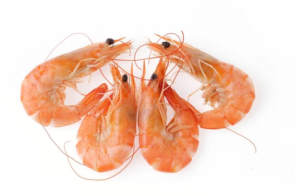 Fresh Prawns White Background —  Fotos de Stock