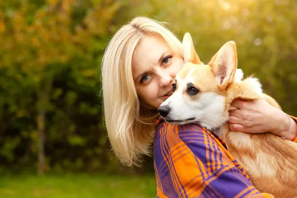 Portrait Woman Welsh Corgi Dog Beautiful Blonde Woman Her Beloved — Stock Photo, Image